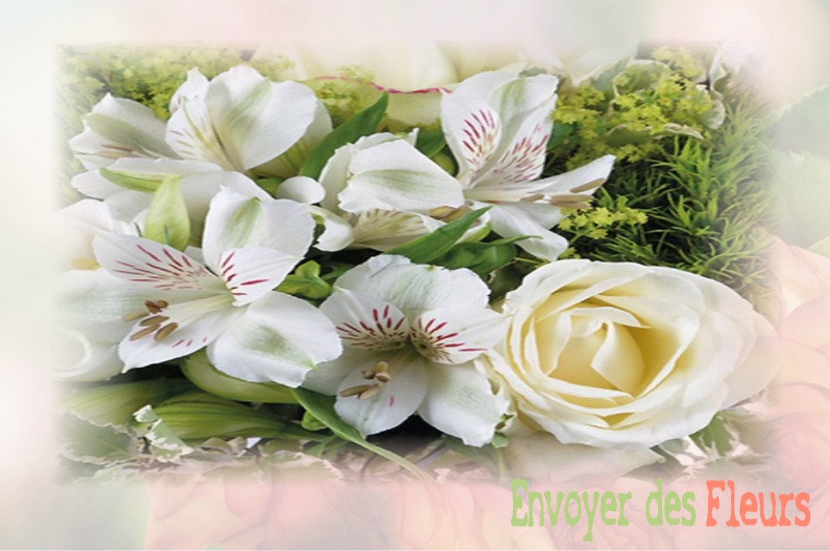envoyer des fleurs à à SAINT-ETIENNE-LES-ORGUES